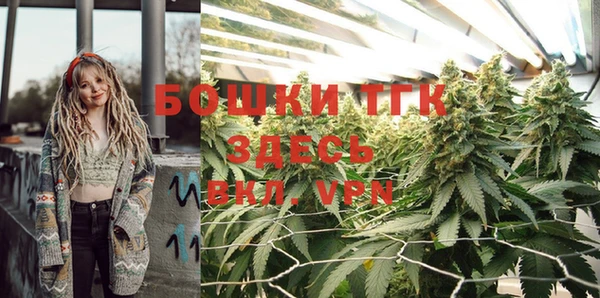 мдпв Богданович