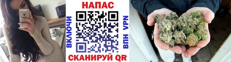 цены наркотик  Грязовец  Бошки Шишки VHQ 